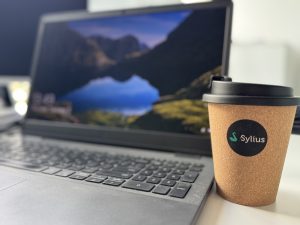 Growing Businesses and Sylius: How to Know When It’s Time to Switch Platforms